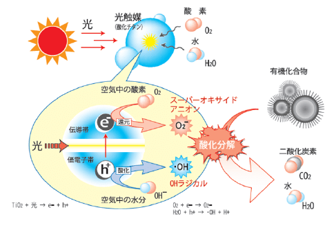 光触媒のしくみ